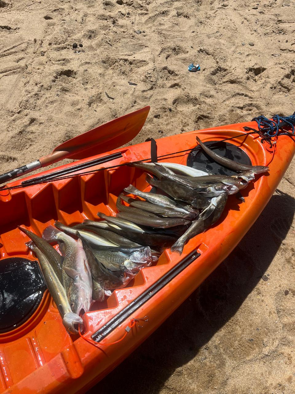 Pescados no caiaque